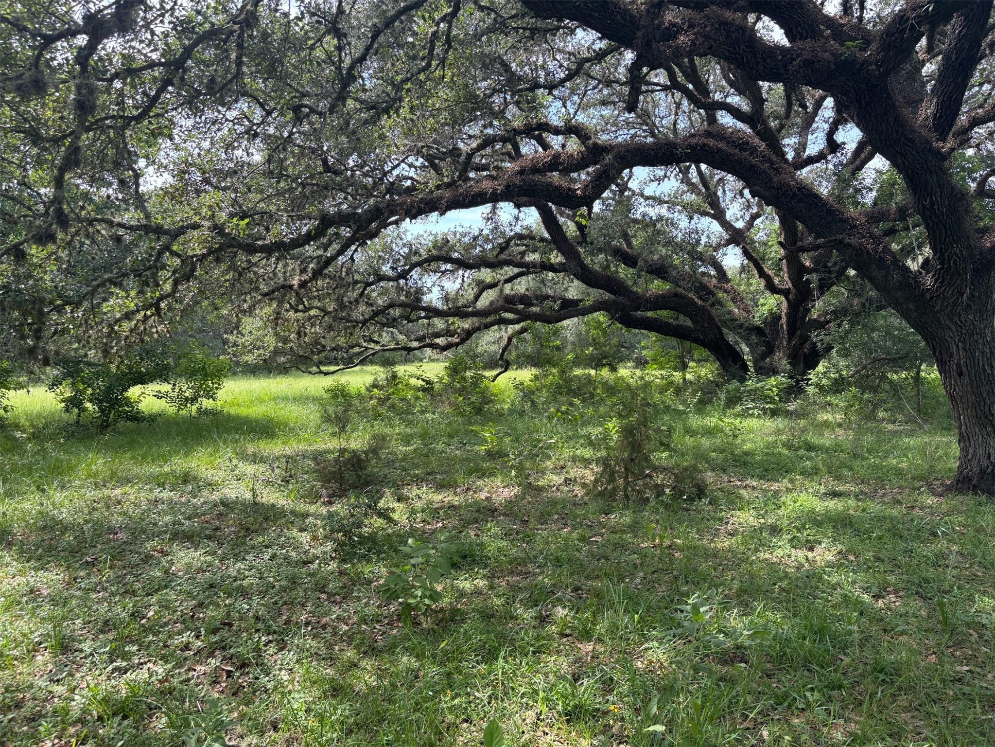 0 Frantz Road Cat Spring, TX 78933 - Photo 7 of 25