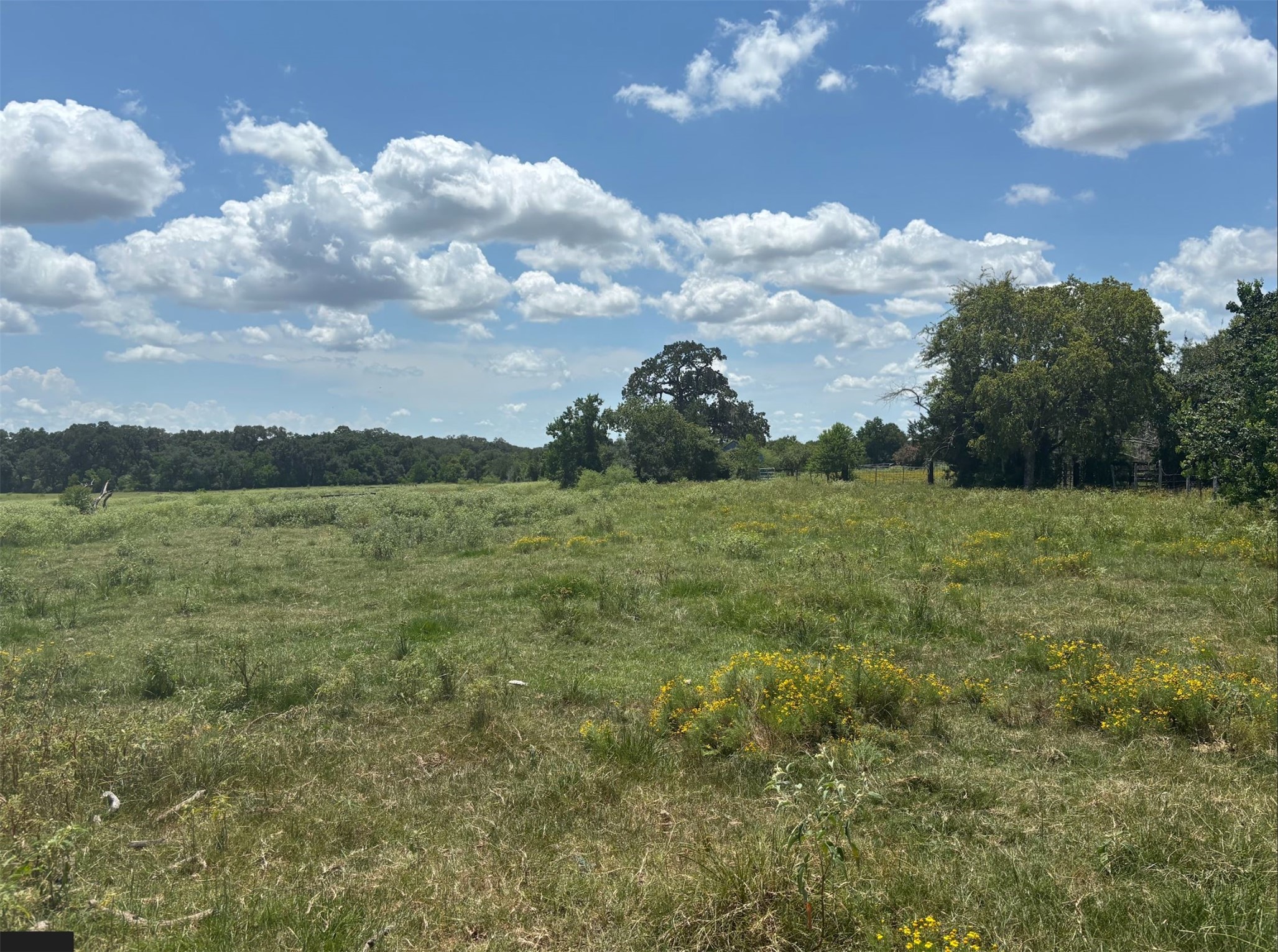 0 Frantz Road Cat Spring, TX 78933 - Photo 9 of 25