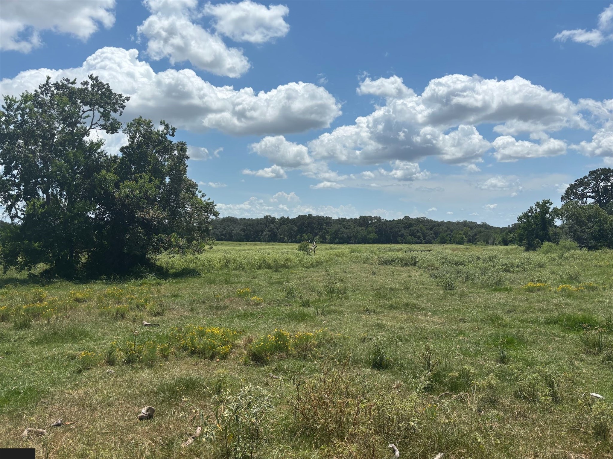 0 Frantz Road Cat Spring, TX 78933 - Photo 10 of 25