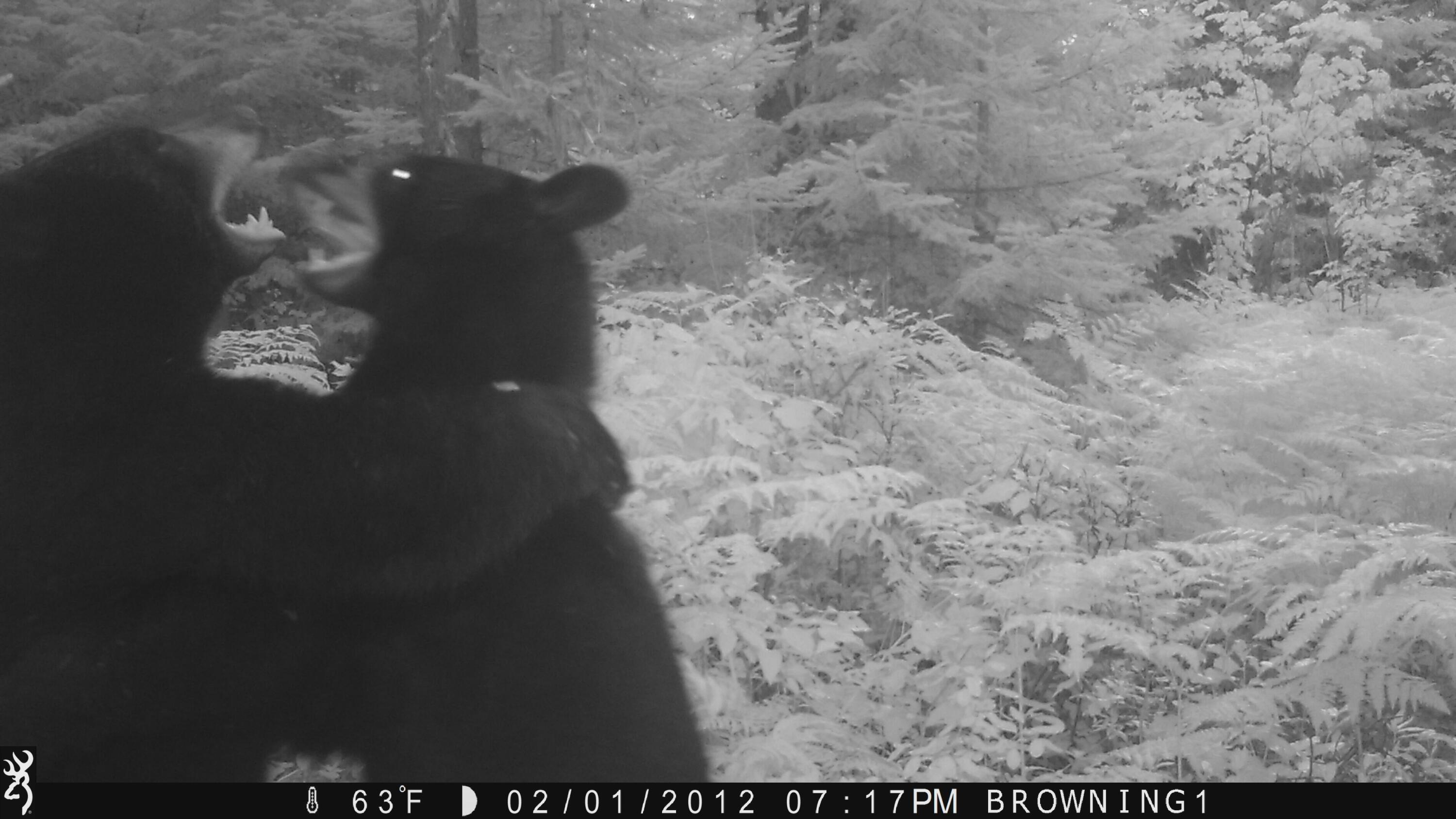 Lot #3 Pleine Road St. Agatha, ME 04772 - Photo 30 of 32