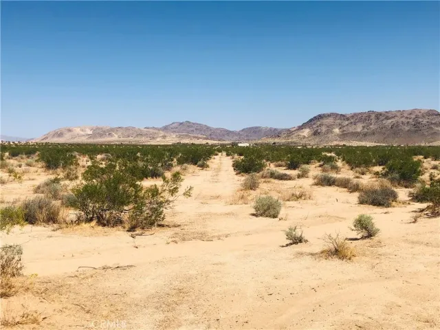 $17,750 | 0 Near Dusty Mile, Landers, CA 92285