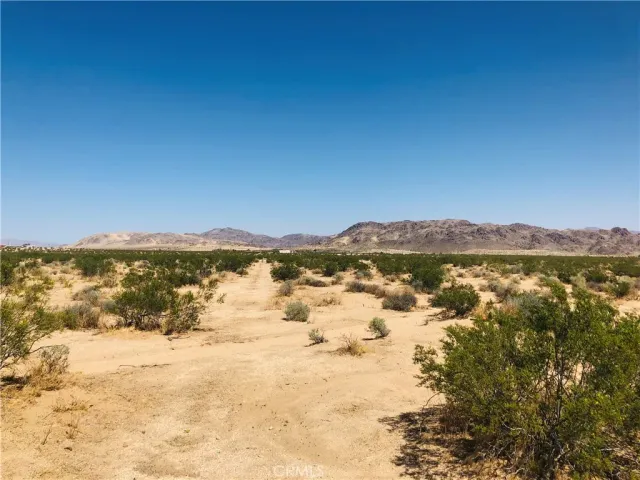 $17,750 | 0 Near Dusty Mile, Landers, CA 92285