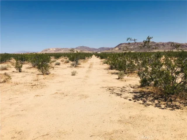 $17,750 | 0 Near Dusty Mile, Landers, CA 92285