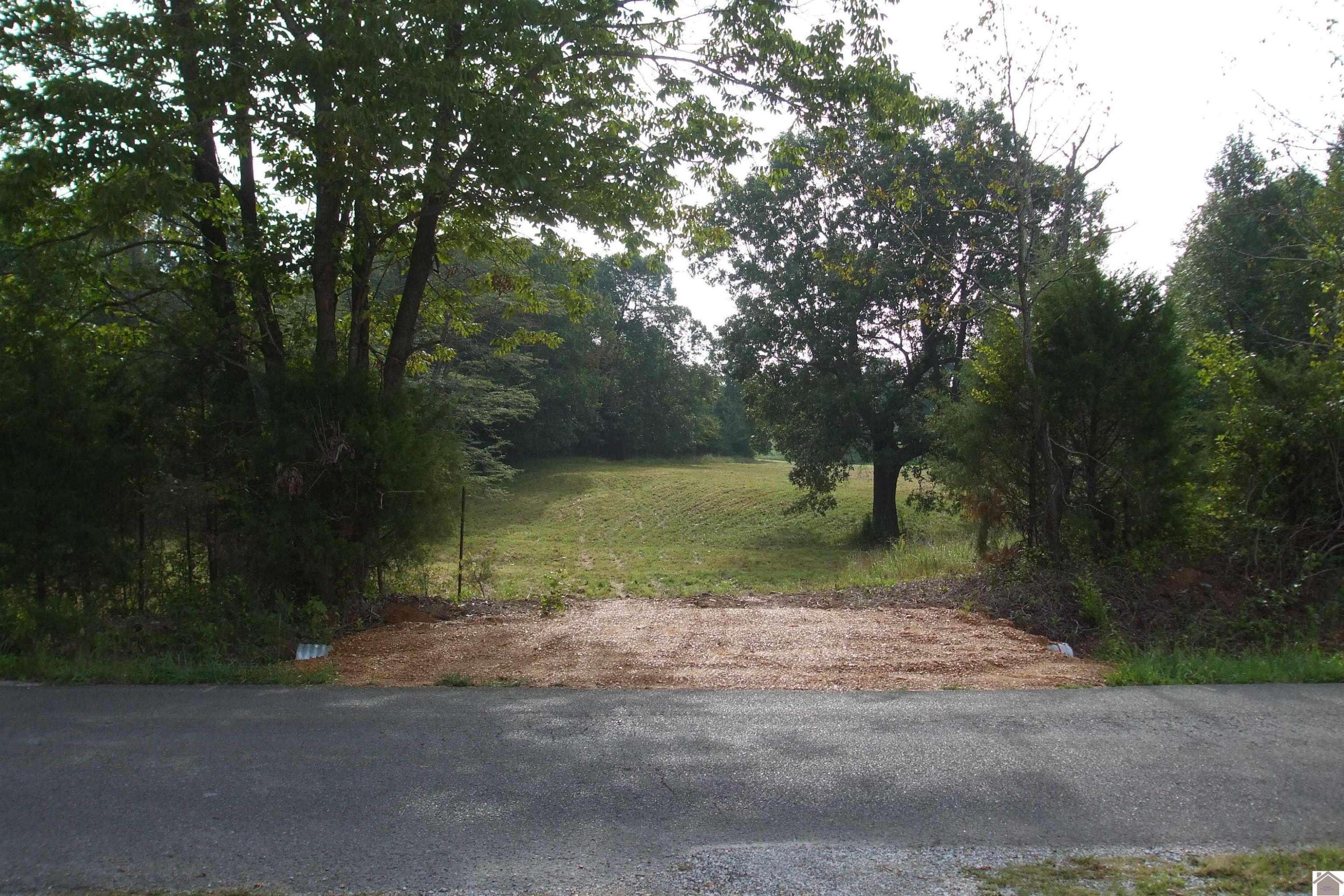 2960 Kaler Mil Road Symsonia, KY 42082 - Photo 4 of 4 Photo 4