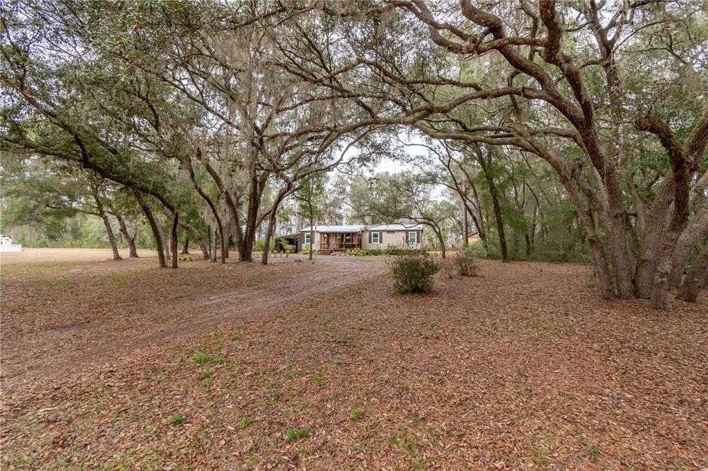 112 Magnolia Street Hawthorne, FL 32640 - Photo 2 of 41 a view of a tree in front of a house