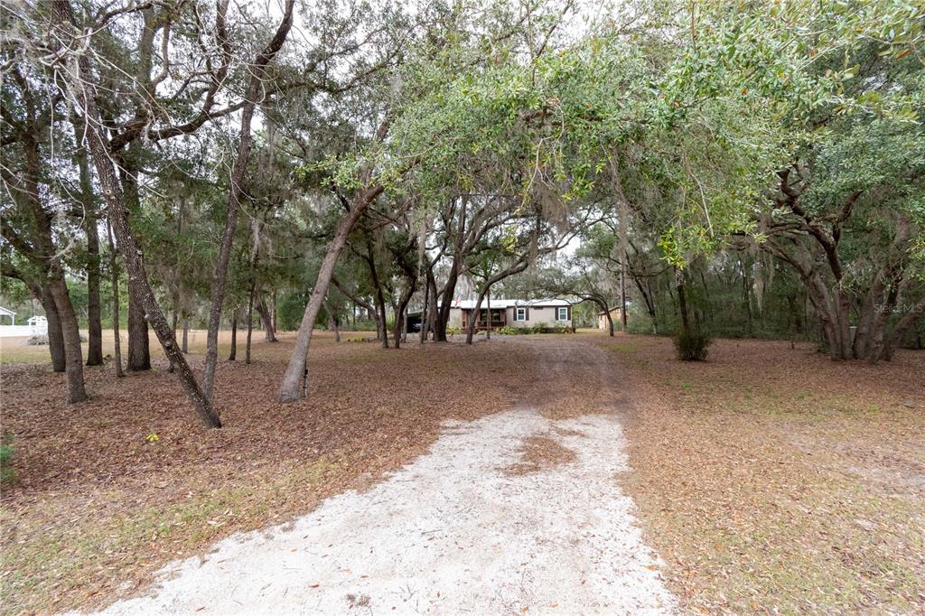 112 Magnolia Street Hawthorne, FL 32640 - Photo 37 of 41 a view of outdoor space with trees