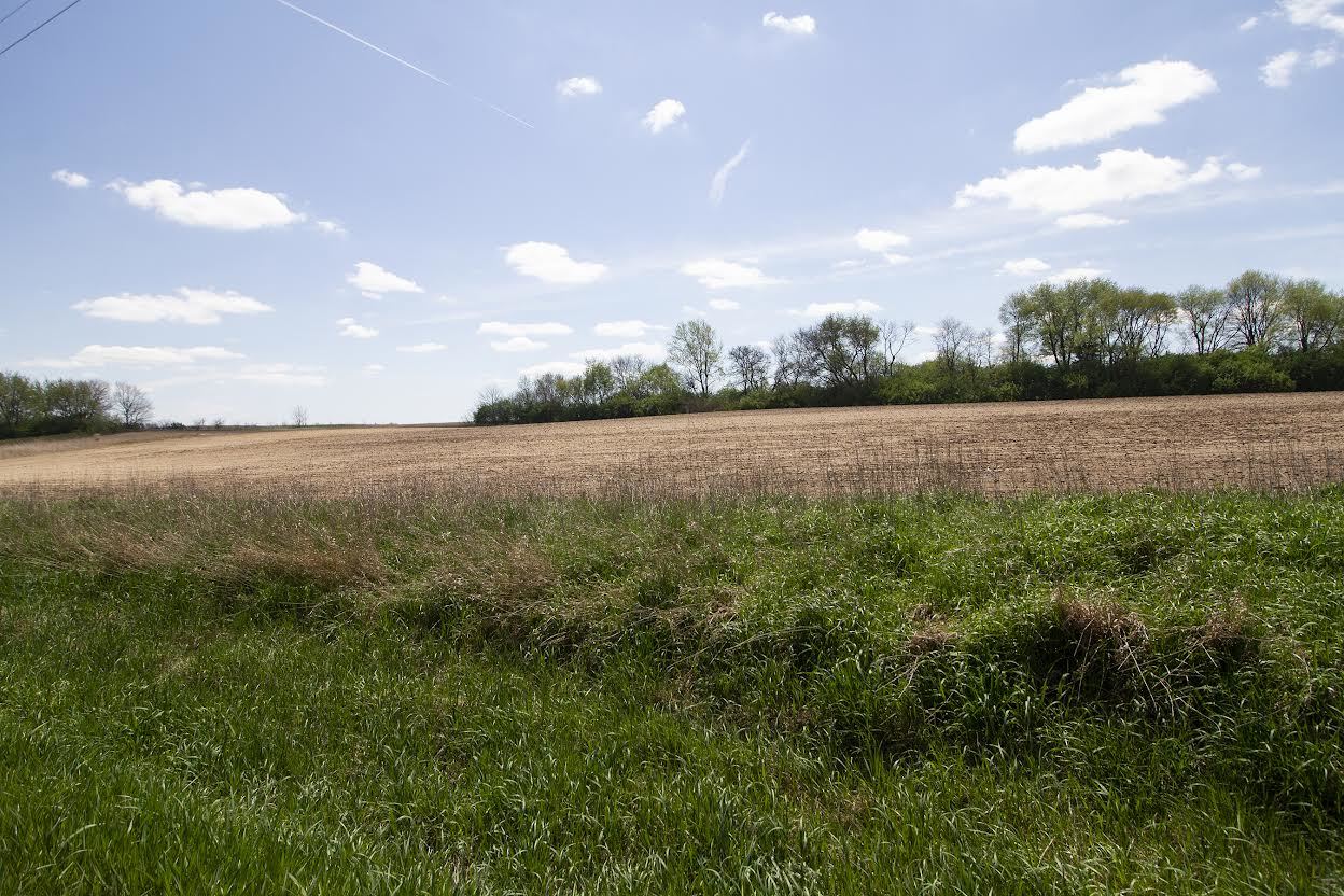 0 Rt 113 Bonfield, IL 60913 - Photo 6 of 9 a view of yard with green space
