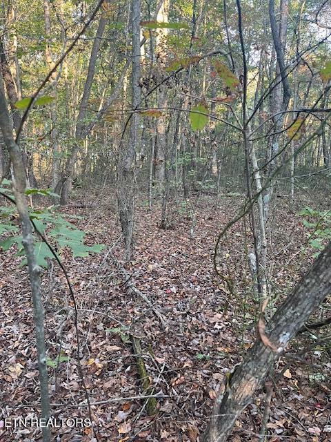 Jump Off Place Monterey, TN 38574 - Photo 3 of 13 Jump Off Place