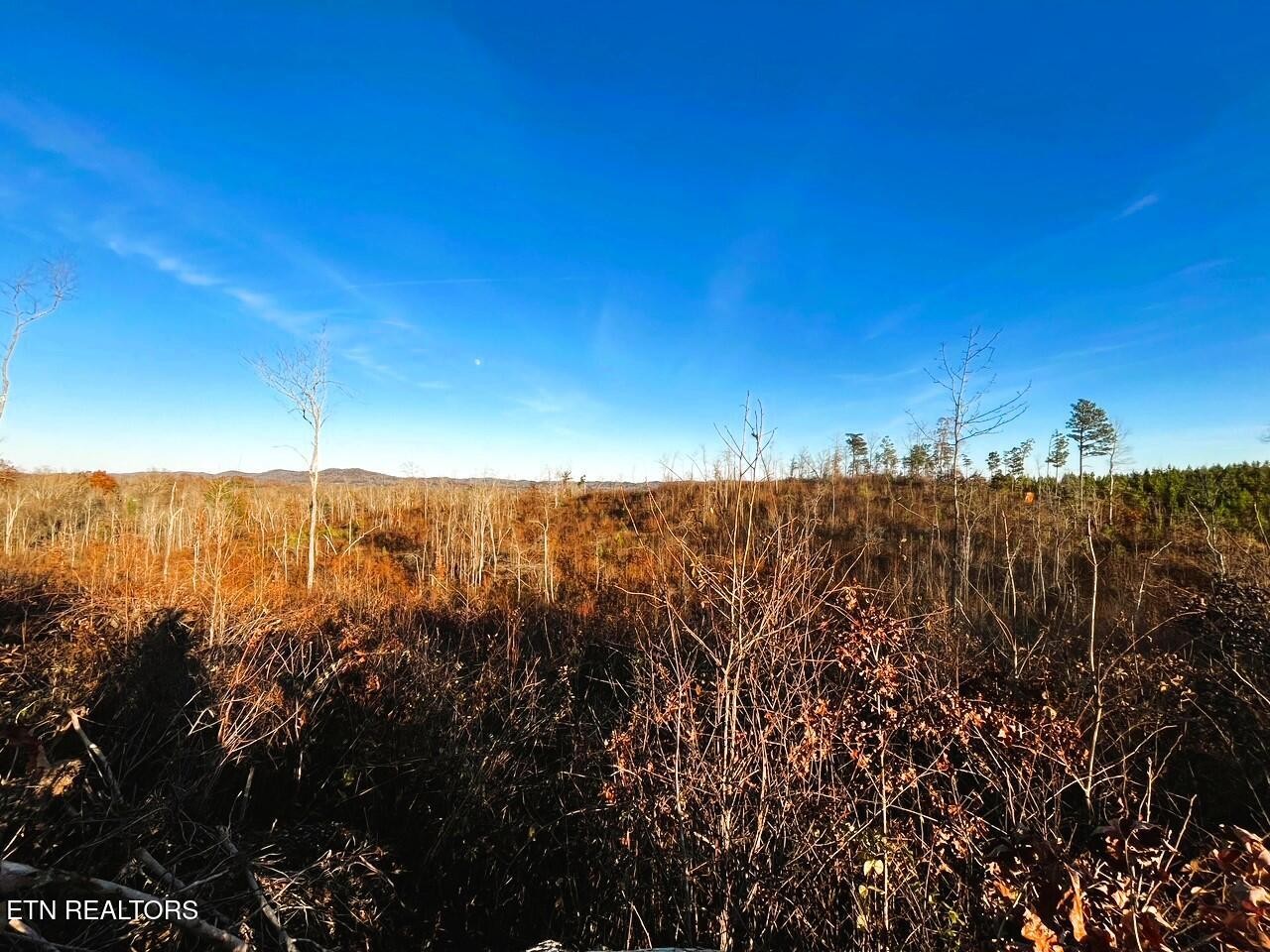1667 Euchee Road Ten Mile, TN 37880 - Photo 14 of 25