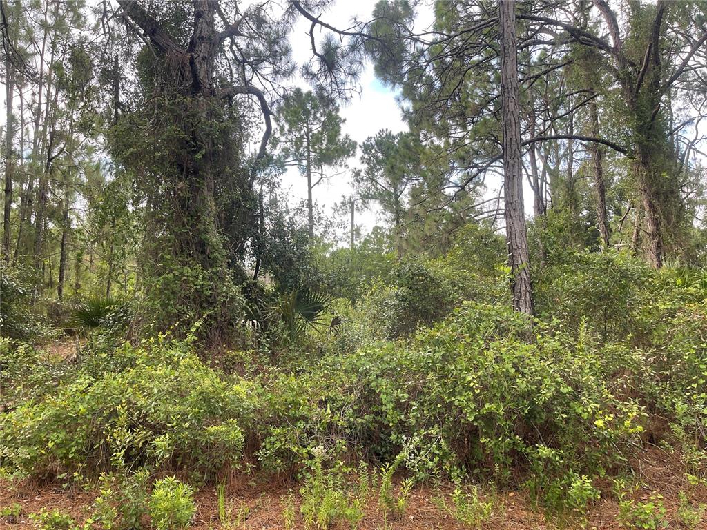 Hedgecoth Ave Port North Port, FL 34291 - Photo 1 of 1