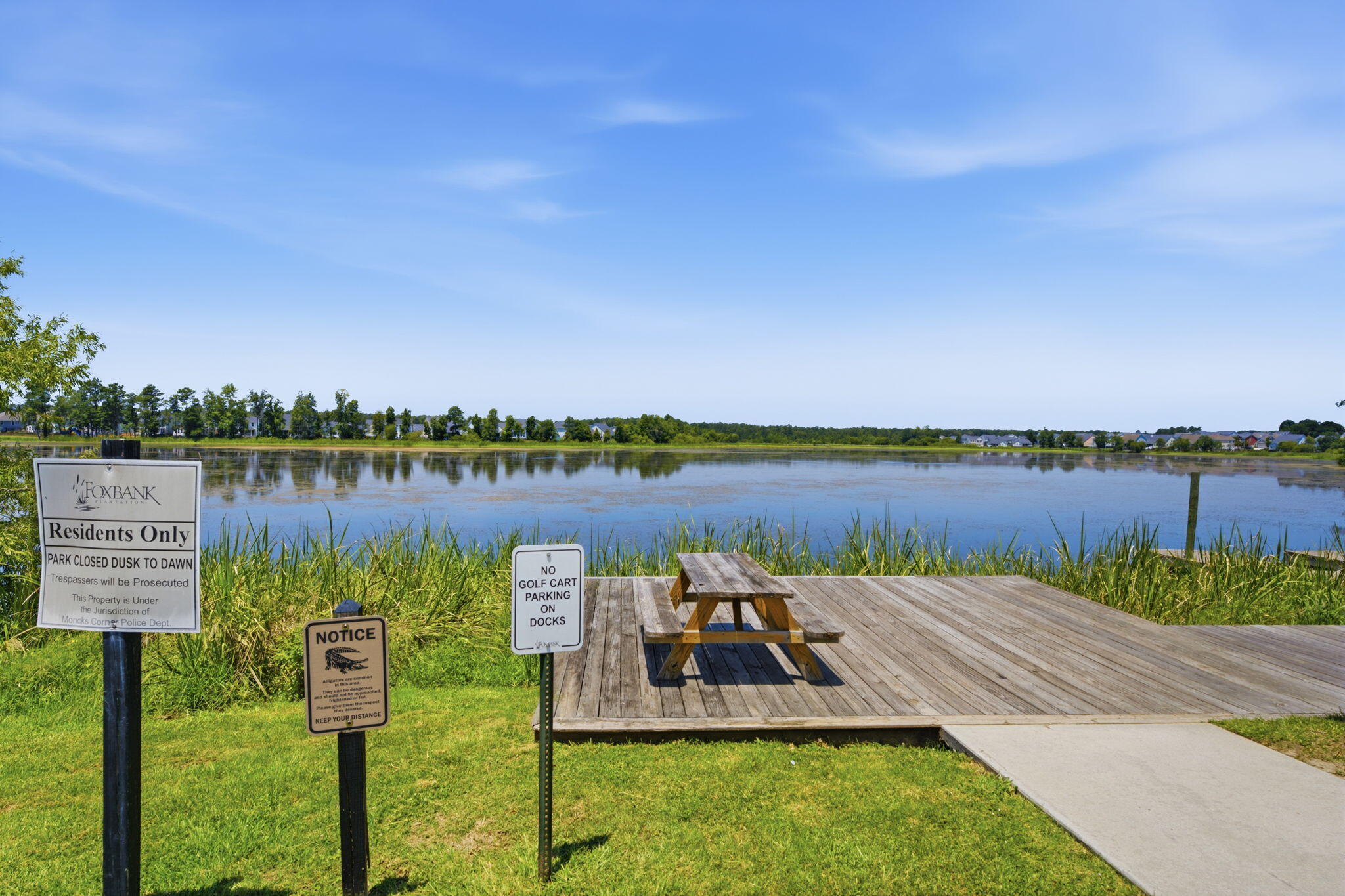 237 Red Leaf Boulevard Moncks Corner, SC 29461 - Photo 49 of 52 63-web-or-mls-_DSC3442