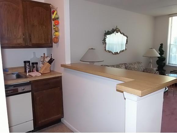 9987 Shore Road, Unit 15A Brooklyn, NY 11209 - Photo 9 of 12 Gallery Image 9