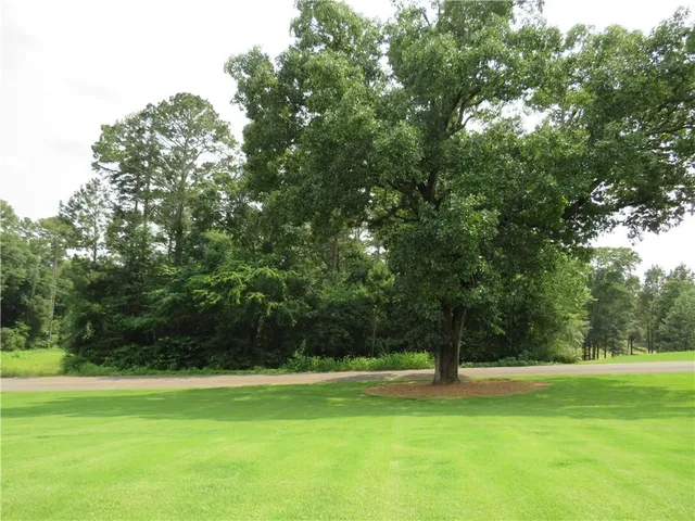 a view of a grassy field with trees in the background