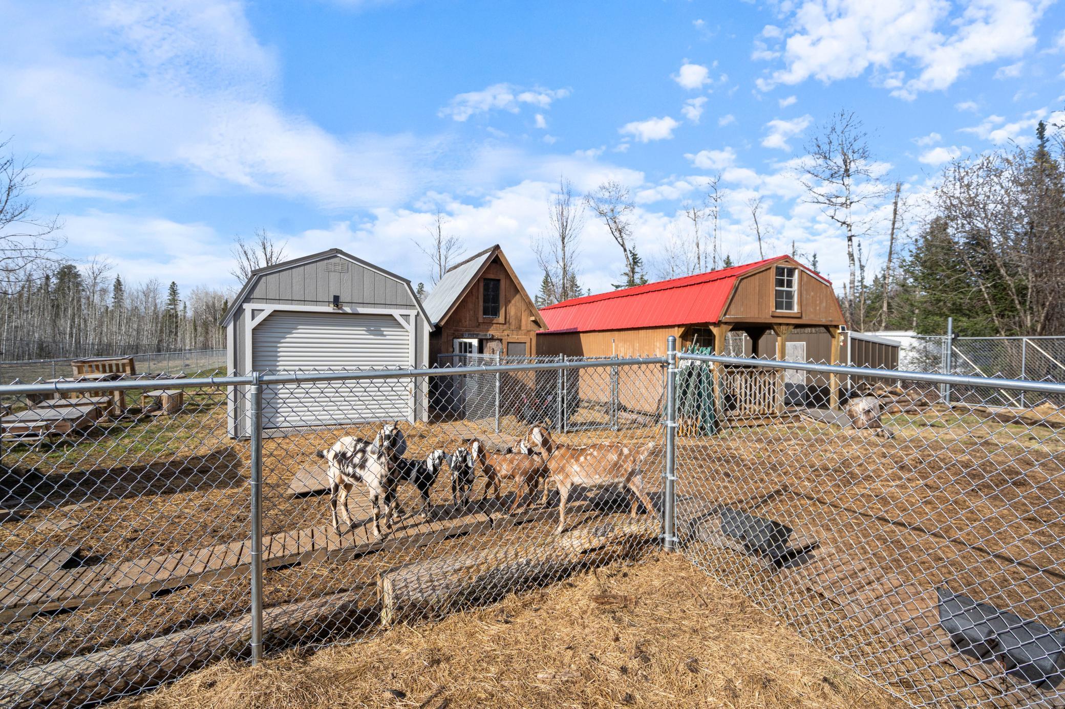 3521 Fire Trail Eveleth, MN 55734 - Photo 49 of 55