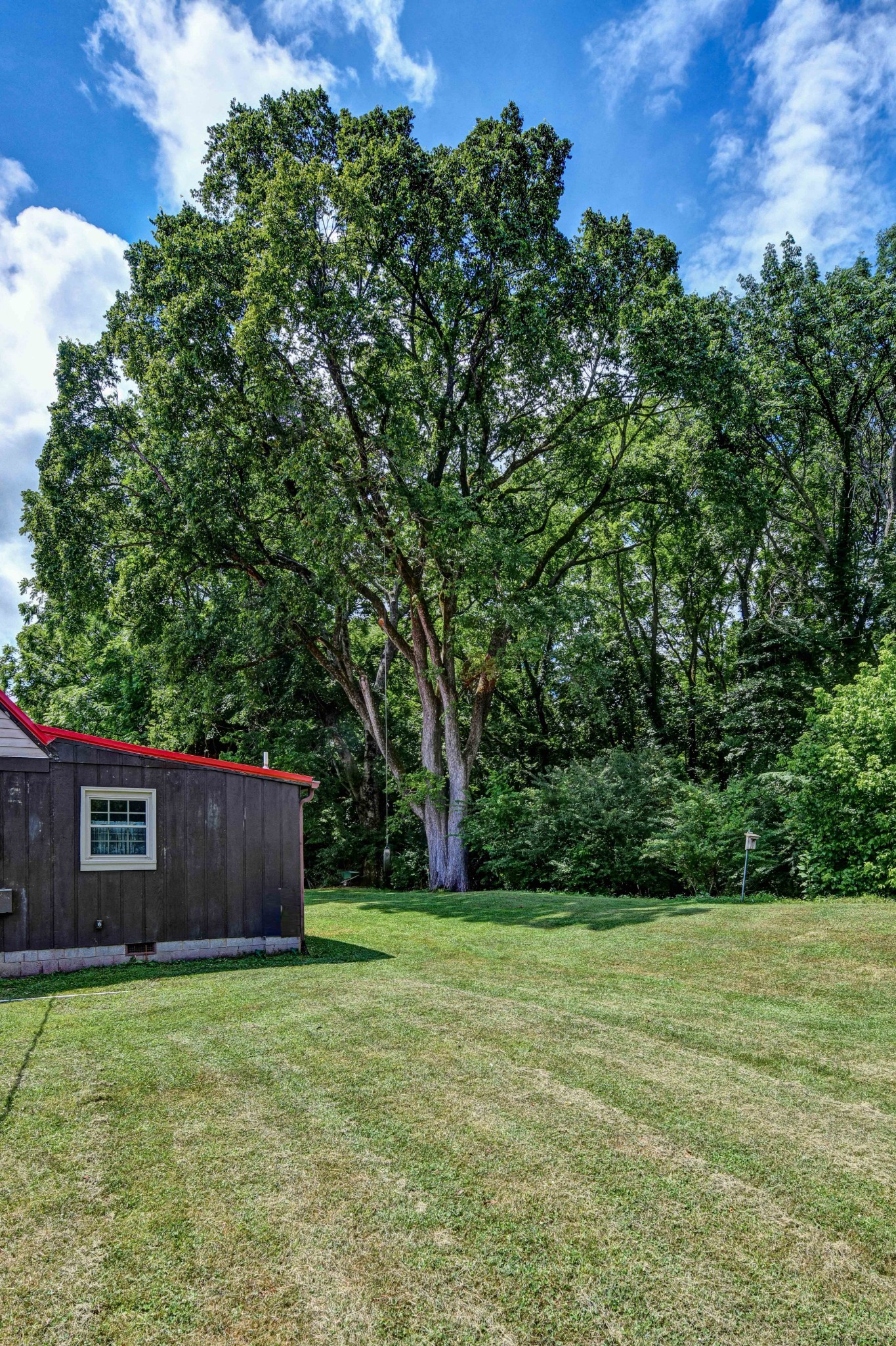 3309 Blazer Road Franklin, TN 37064 - Photo 33 of 37 a view of a back yard