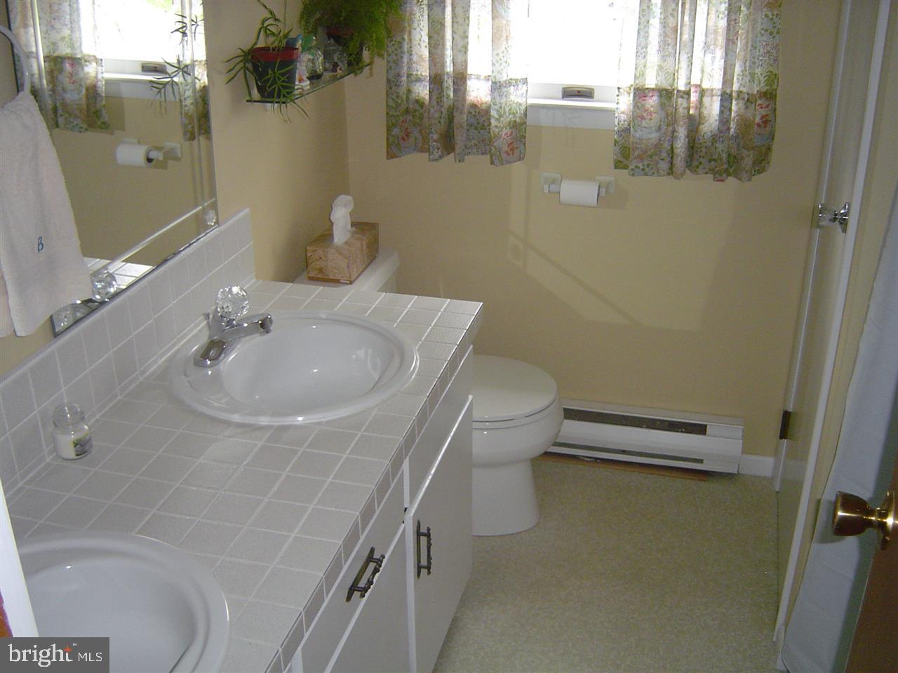 152 Natural Springs Road Gettysburg, PA 17325 - Photo 22 of 30 a bathroom with a sink a toilet and shower