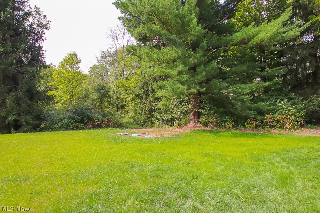 13486 Sperry Road Chesterland, OH 44026 - Photo 6 of 35 Gallery Image 6