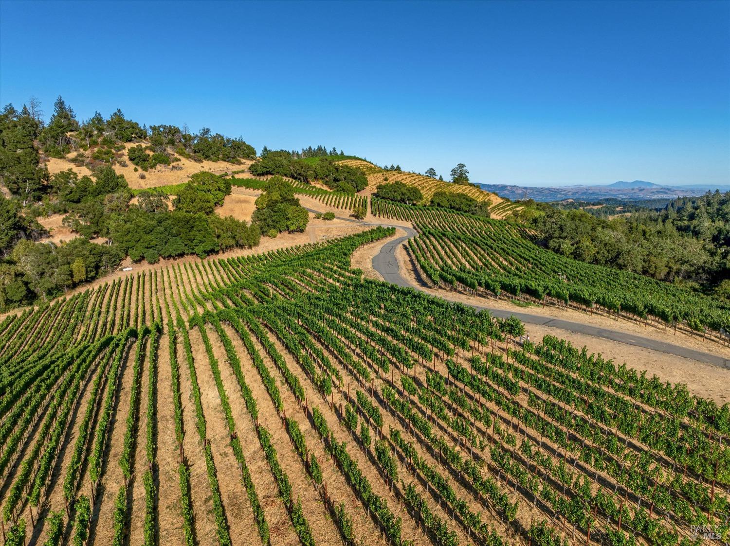 2340 Mt Veeder Road Napa, CA 94558 - Photo 35 of 38