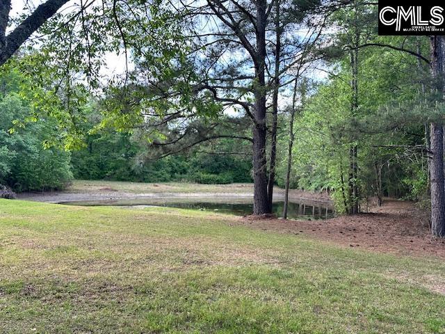 1426 West Creek Road Leesville, SC 29070 - Photo 10 of 70