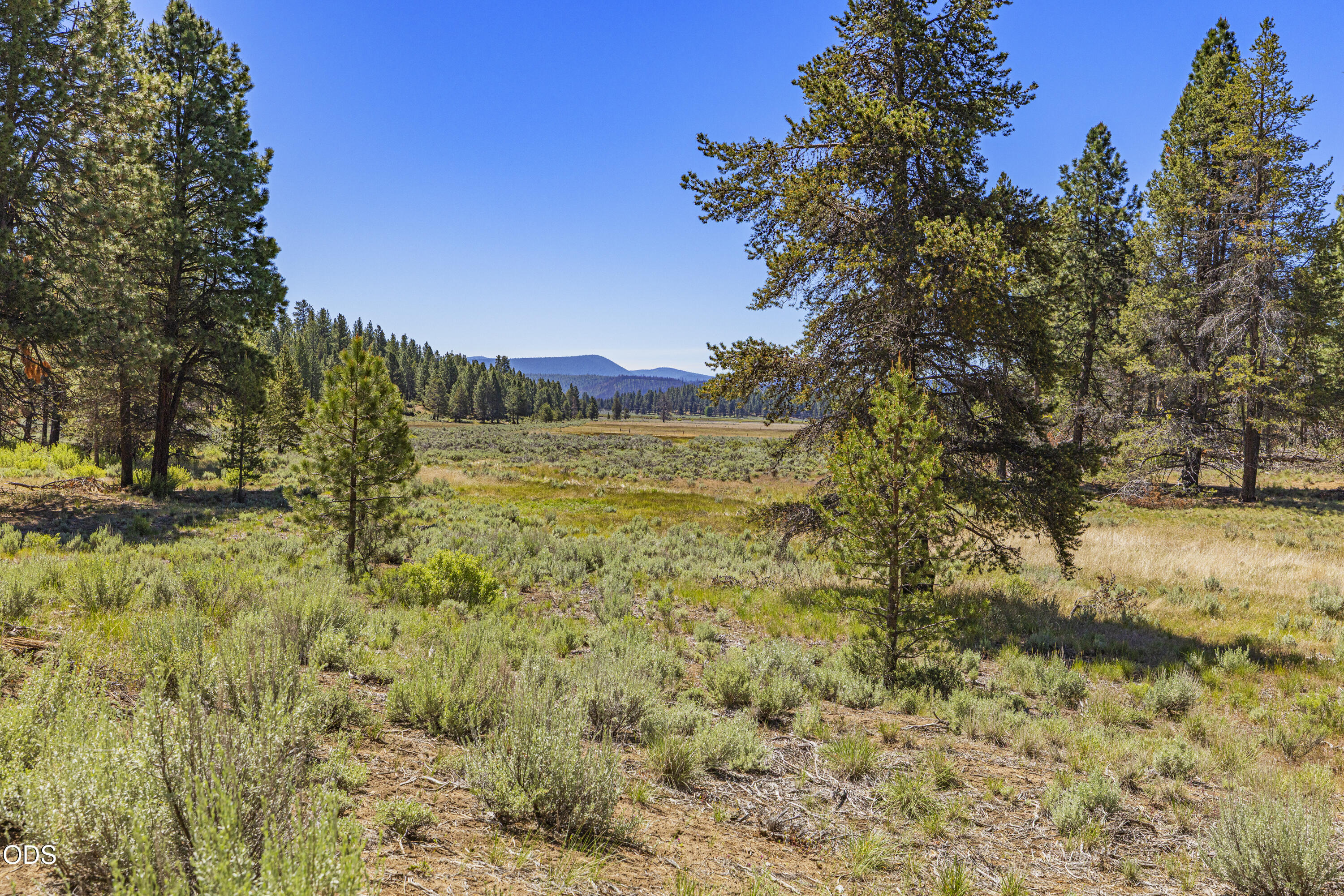 Williamson River Road, Unit 206226 Chiloquin, OR 97624 - Photo 44 of 50
