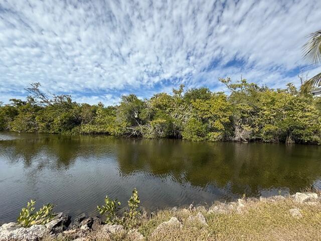 585 14th Street North Naples, FL 34102 - Photo 22 of 24 a view of a lake with a mountain in the background