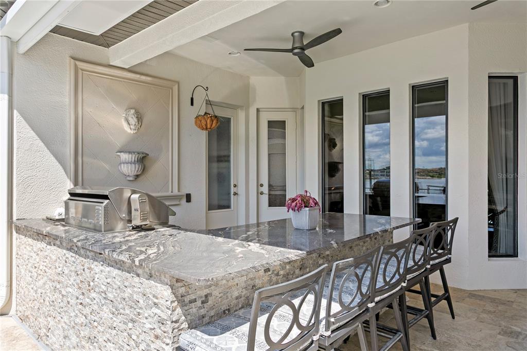 1317 Jumana Loop Apollo Beach, FL 33572 - Photo 59 of 99