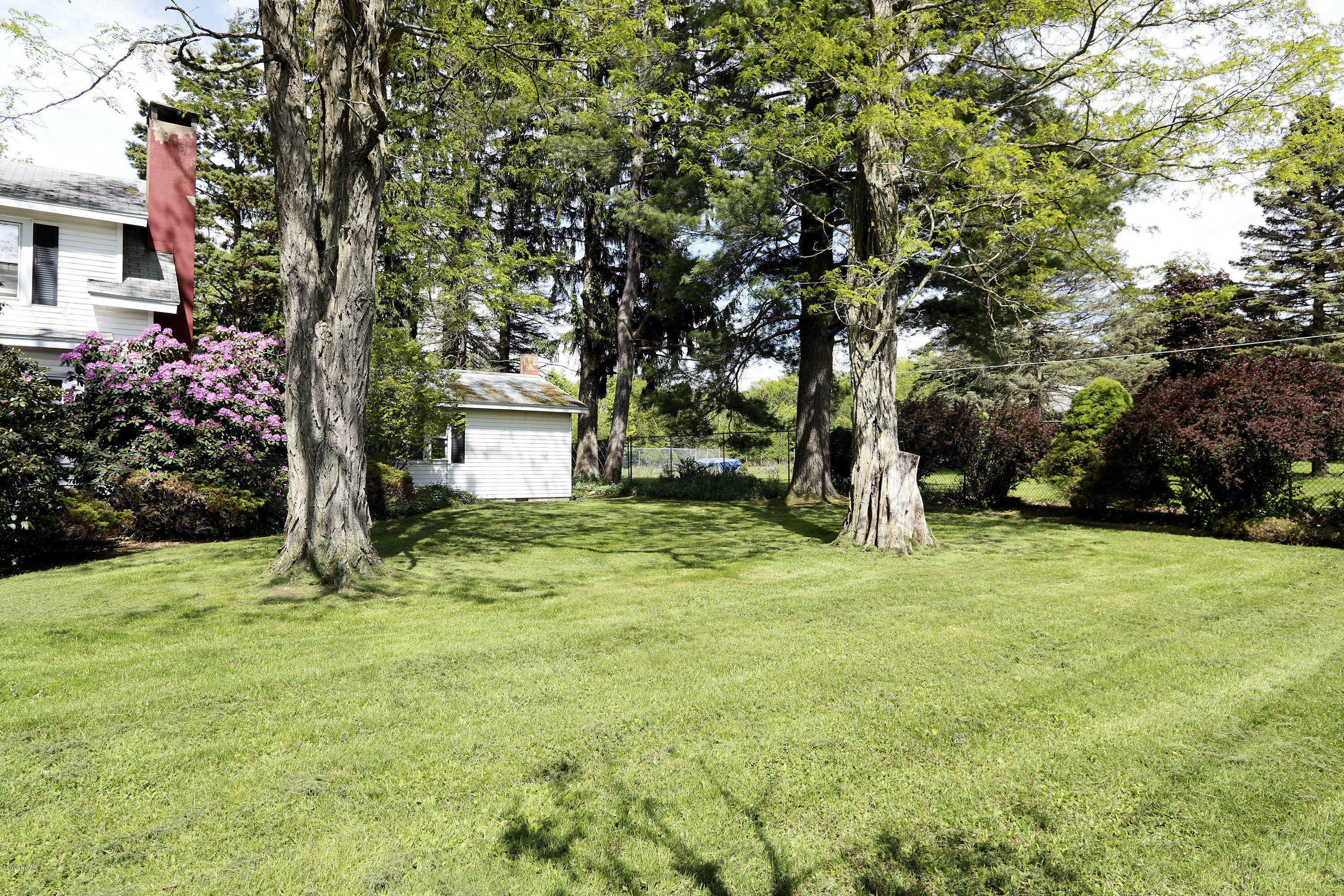 Front Yard