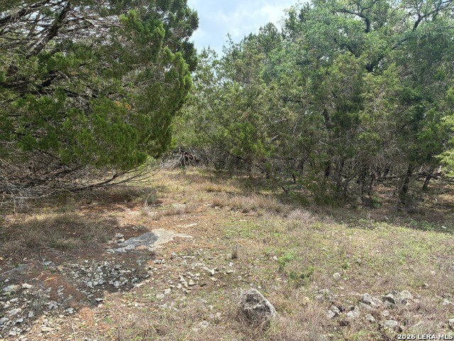 1268 Overbrook Lane Spring Branch, TX 78070 - Photo 1 of 20 a view of a yard with a tree