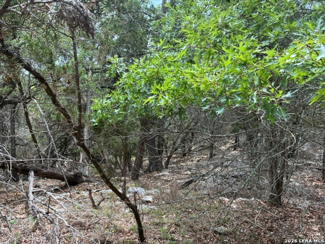 1268 Overbrook Lane Spring Branch, TX 78070 - Photo 2 of 20 a view of a yard with a tree