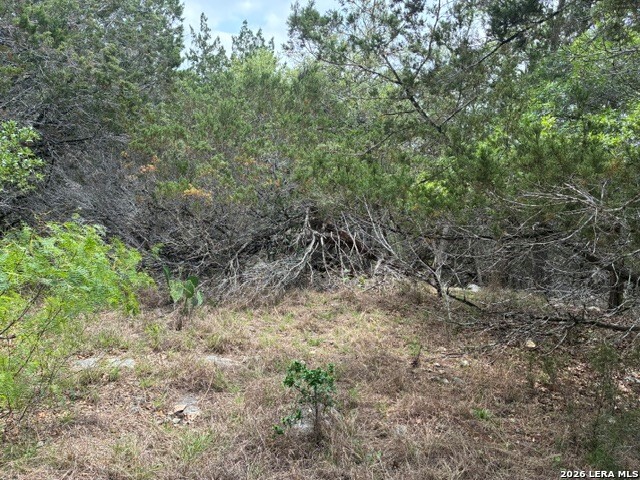 1268 Overbrook Lane Spring Branch, TX 78070 - Photo 5 of 20 a view of a forest with trees in the background