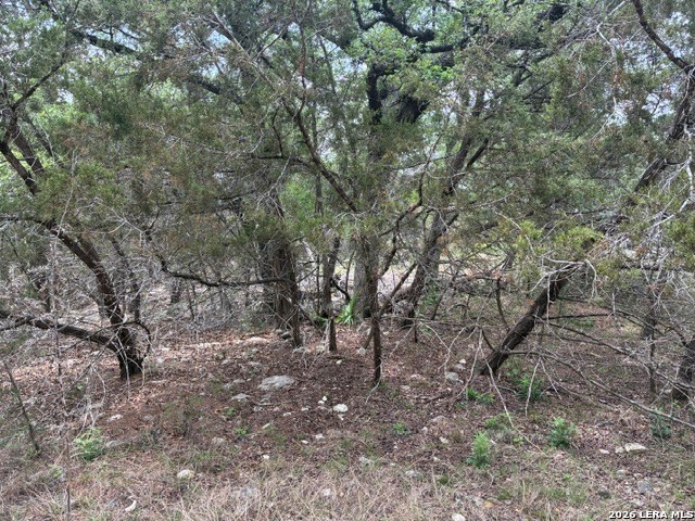 1268 Overbrook Lane Spring Branch, TX 78070 - Photo 6 of 20 a view of forest