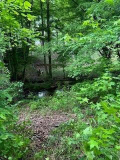 0 Log Cabin Road Cumming, GA 30028 - Photo 1 of 3