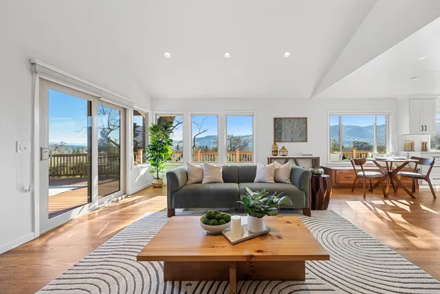 a living room with furniture potted plant and a window