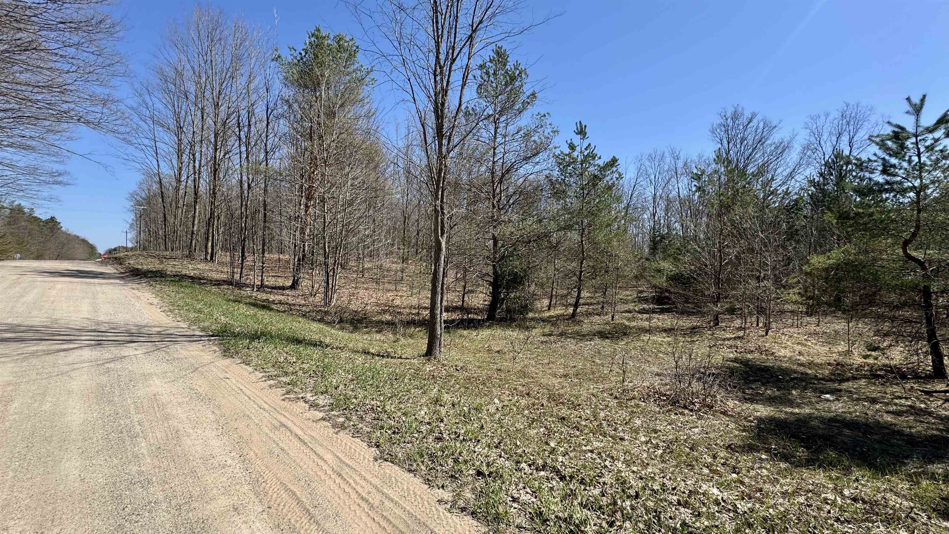 0 North 1st Road, Unit PARCEL C Buckley, MI 49620 - Photo 2 of 7