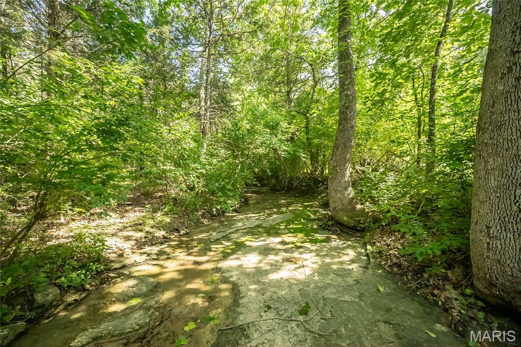 0 Watson Road Festus, MO 63028 - Photo 5 of 17