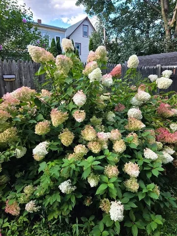 $600,000 | 2 Leonard Court, Boston, MA 02122