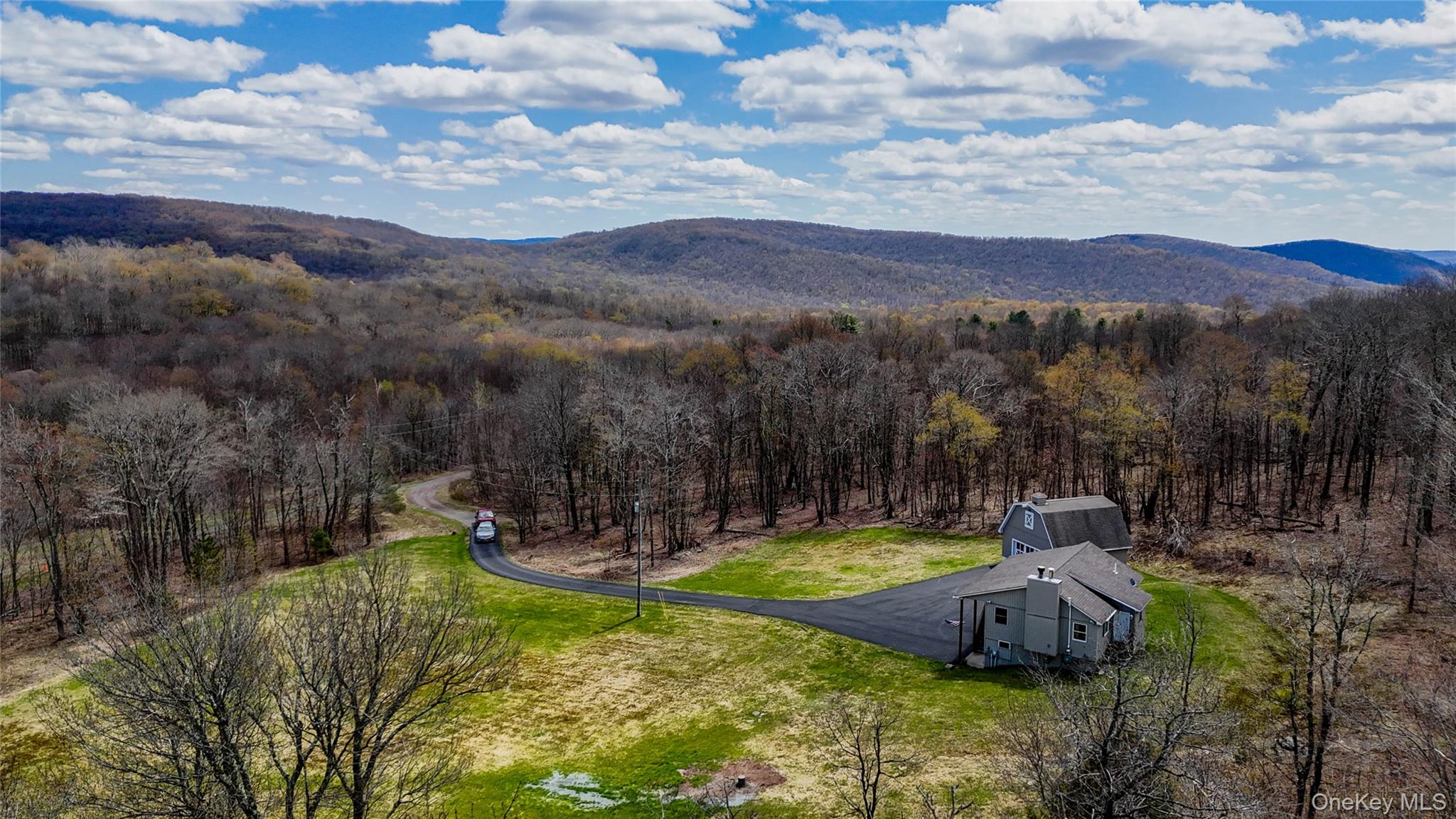 1029 Spring Brook Estates Road Roscoe, NY 12776 - Photo 3 of 45