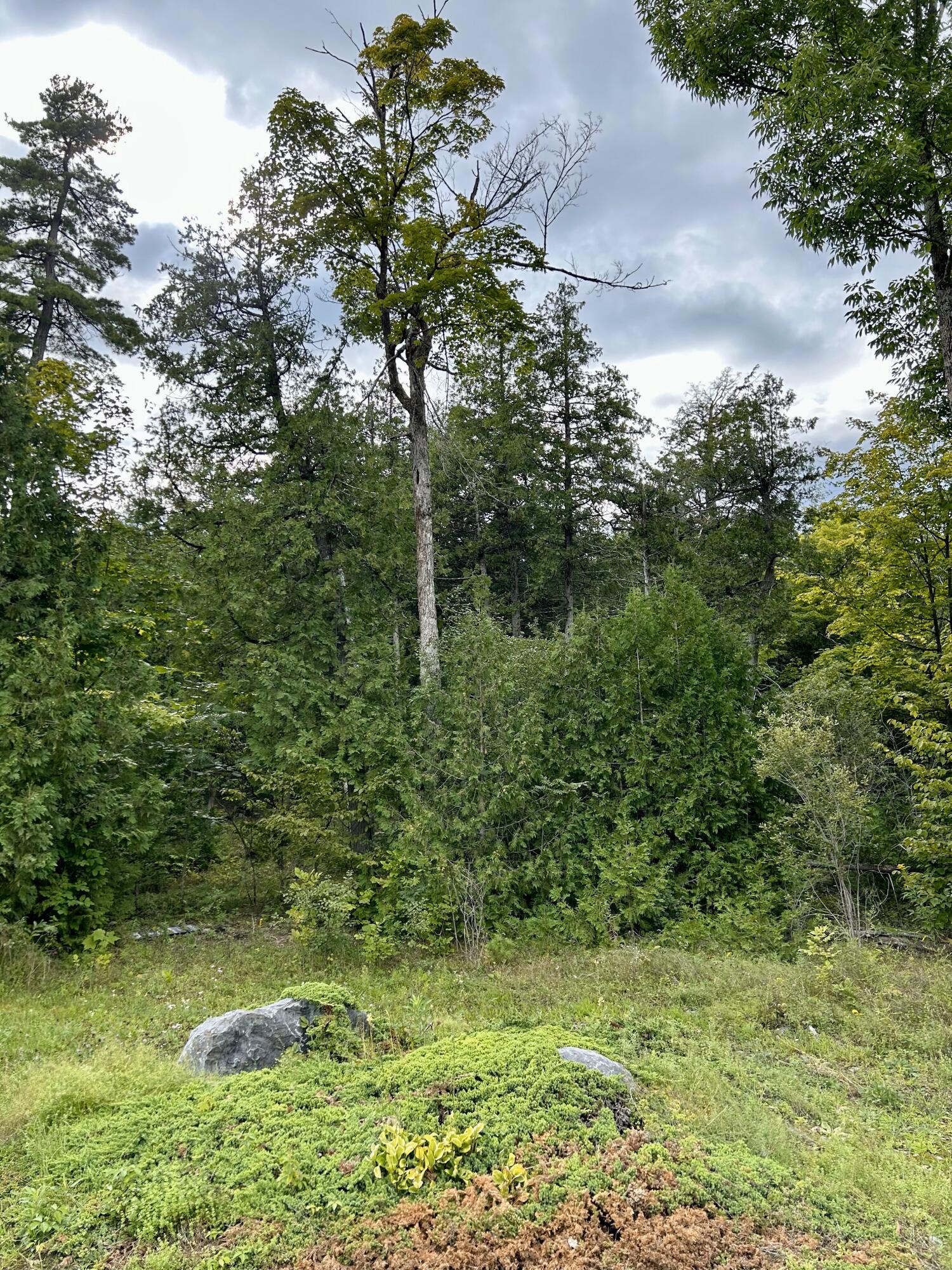 0 Bluff Point Drive Plattsburgh, NY 12901 - Photo 8 of 21 10