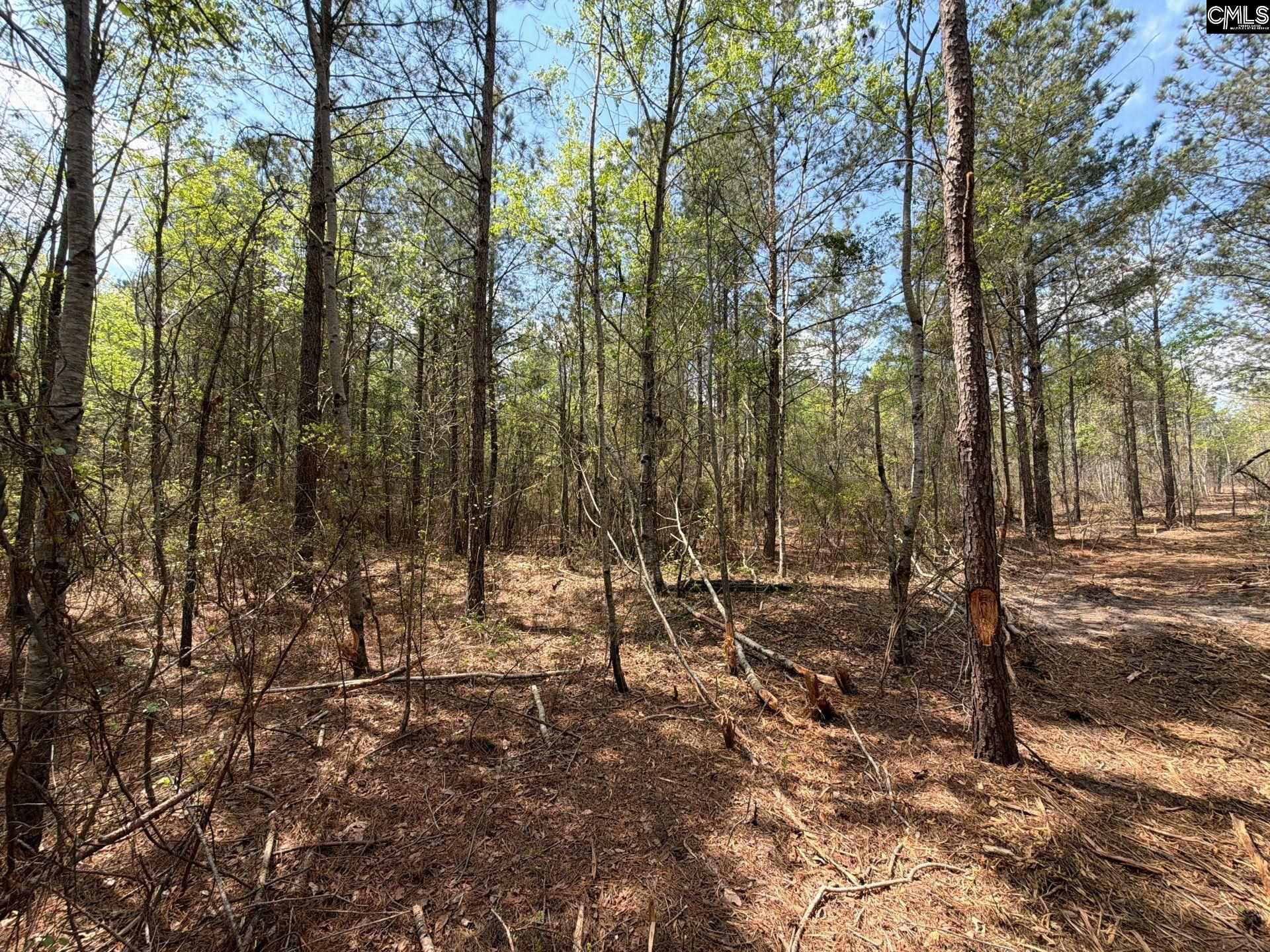 2 Mt Calvary Rd Ridge Spring, Unit CA 2 Ridge Spring, SC 29129 - Photo 17 of 29