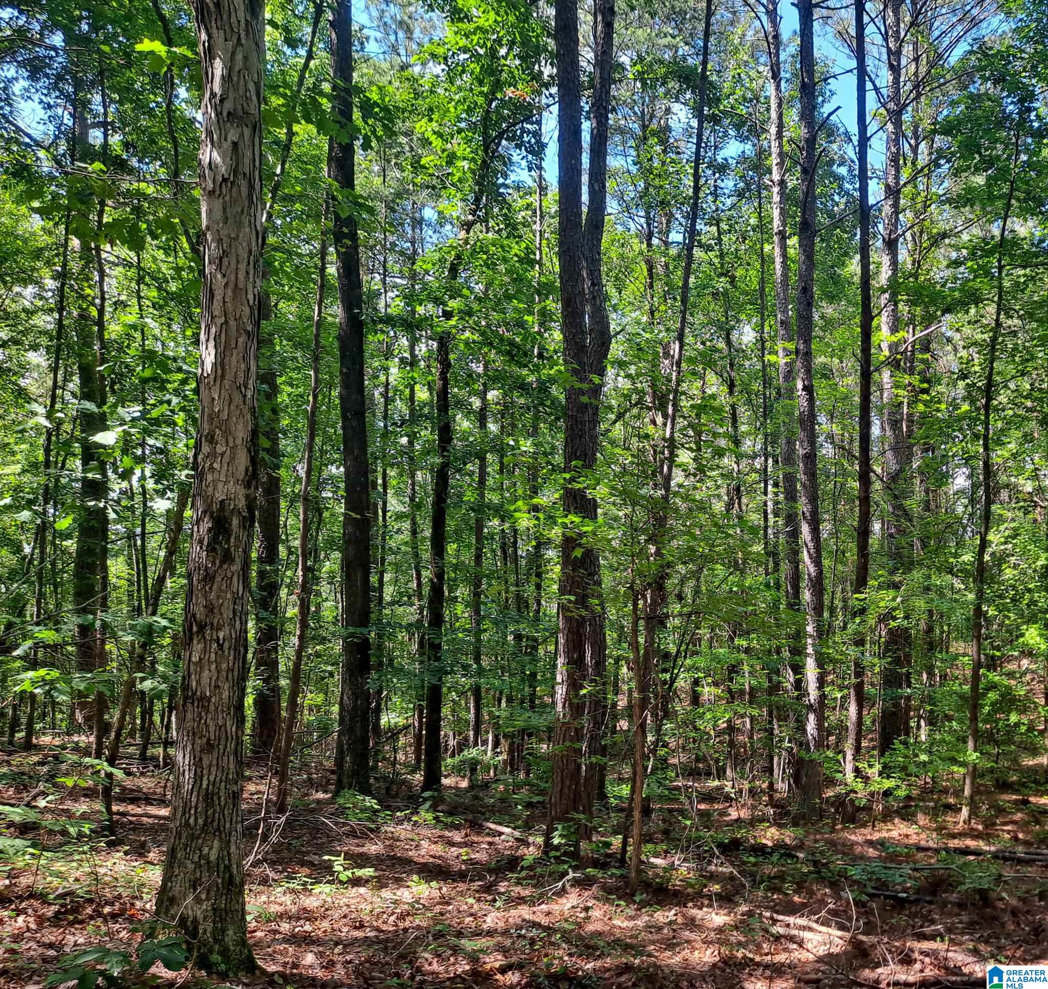 808 Fulton Hill Road, Unit 808 Berry, AL 35546 - Photo 20 of 26
