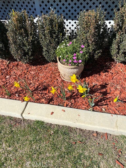 4135 Peruvian Way Paso Robles, CA 93446 - Photo 35 of 45 There are bulbs planted in the front that produce giant Daffidil's in the spring.