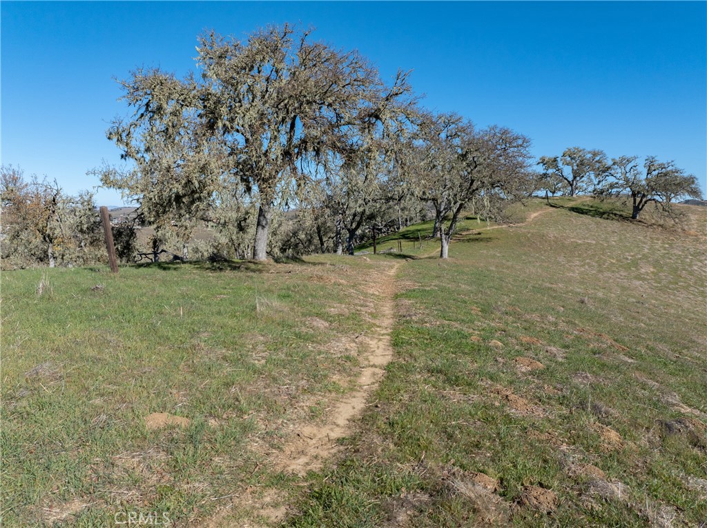 4135 Peruvian Way Paso Robles, CA 93446 - Photo 41 of 45 Hiking trail