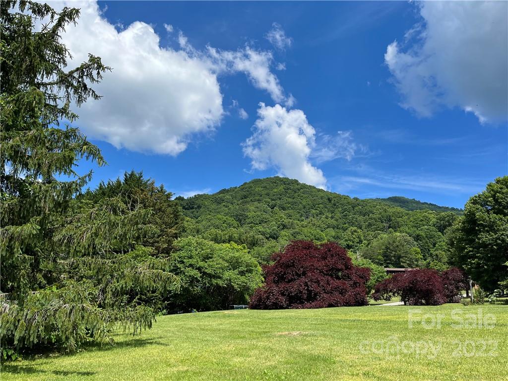 23 Camelfield Road, Unit 21 Weaverville, NC 28787 - Photo 13 of 42 Gallery Image 13