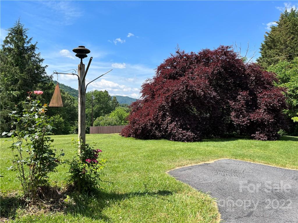 23 Camelfield Road, Unit 21 Weaverville, NC 28787 - Photo 4 of 42 Gallery Image 4
