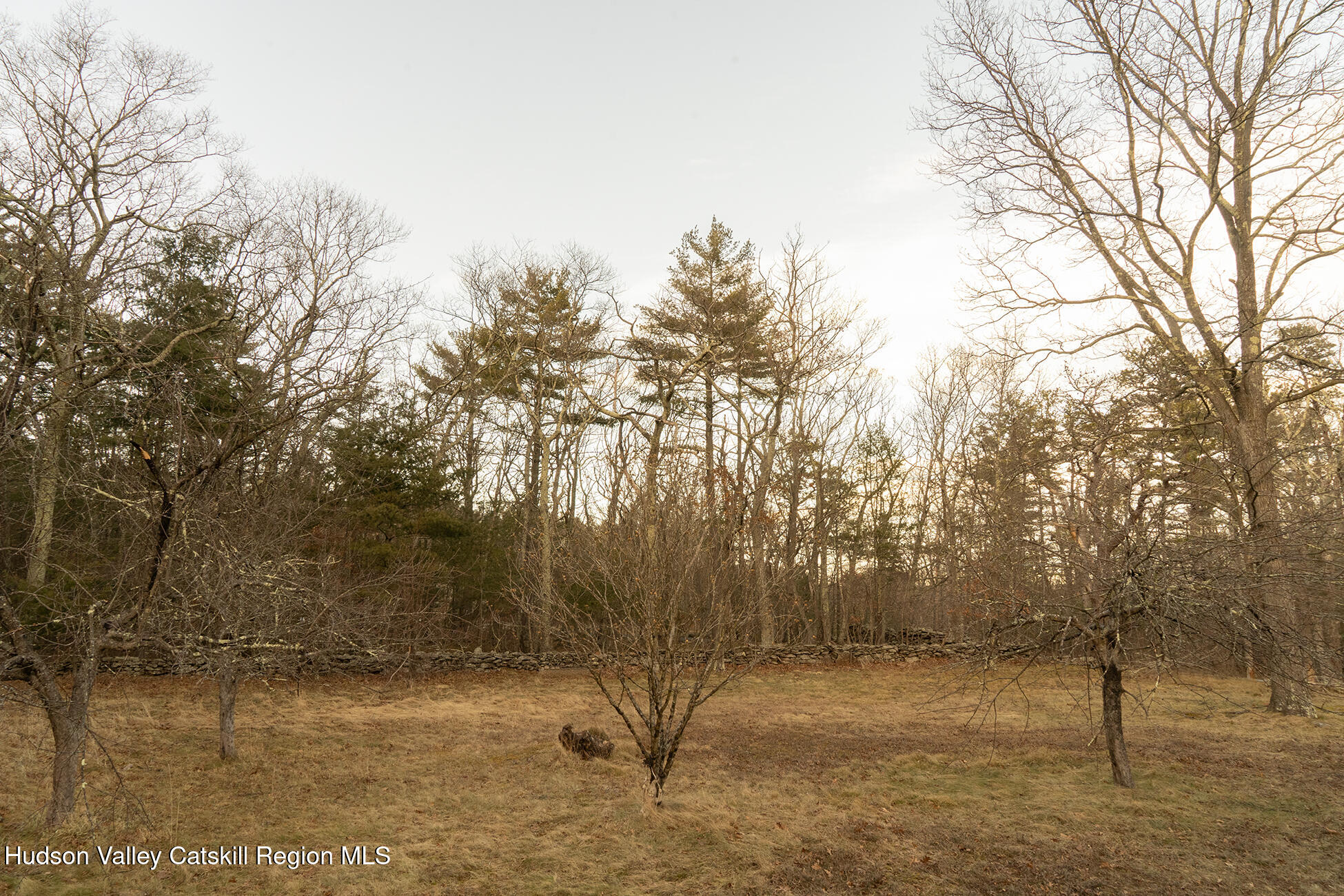 185 Maple Lawn Road Round Top, NY 12473 - Photo 18 of 26 29_185 Maple Lawn Rd Round Top