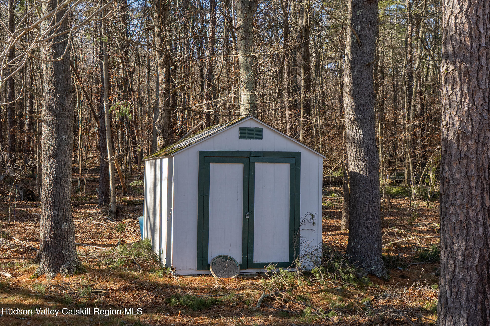 185 Maple Lawn Road Round Top, NY 12473 - Photo 19 of 26 10_185 Maple Lawn Rd Round Top