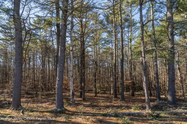 $335,000 | 185 Maple Lawn Road, Round Top, NY 12473