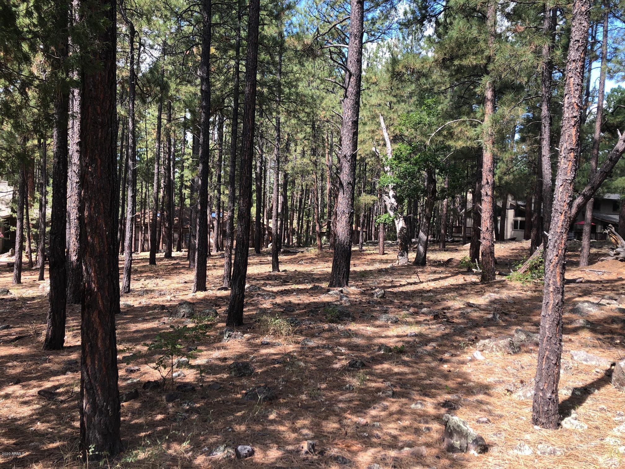 3977 Griffiths Spring, Unit 419 Flagstaff, AZ 86005 - Photo 1 of 3 419 3