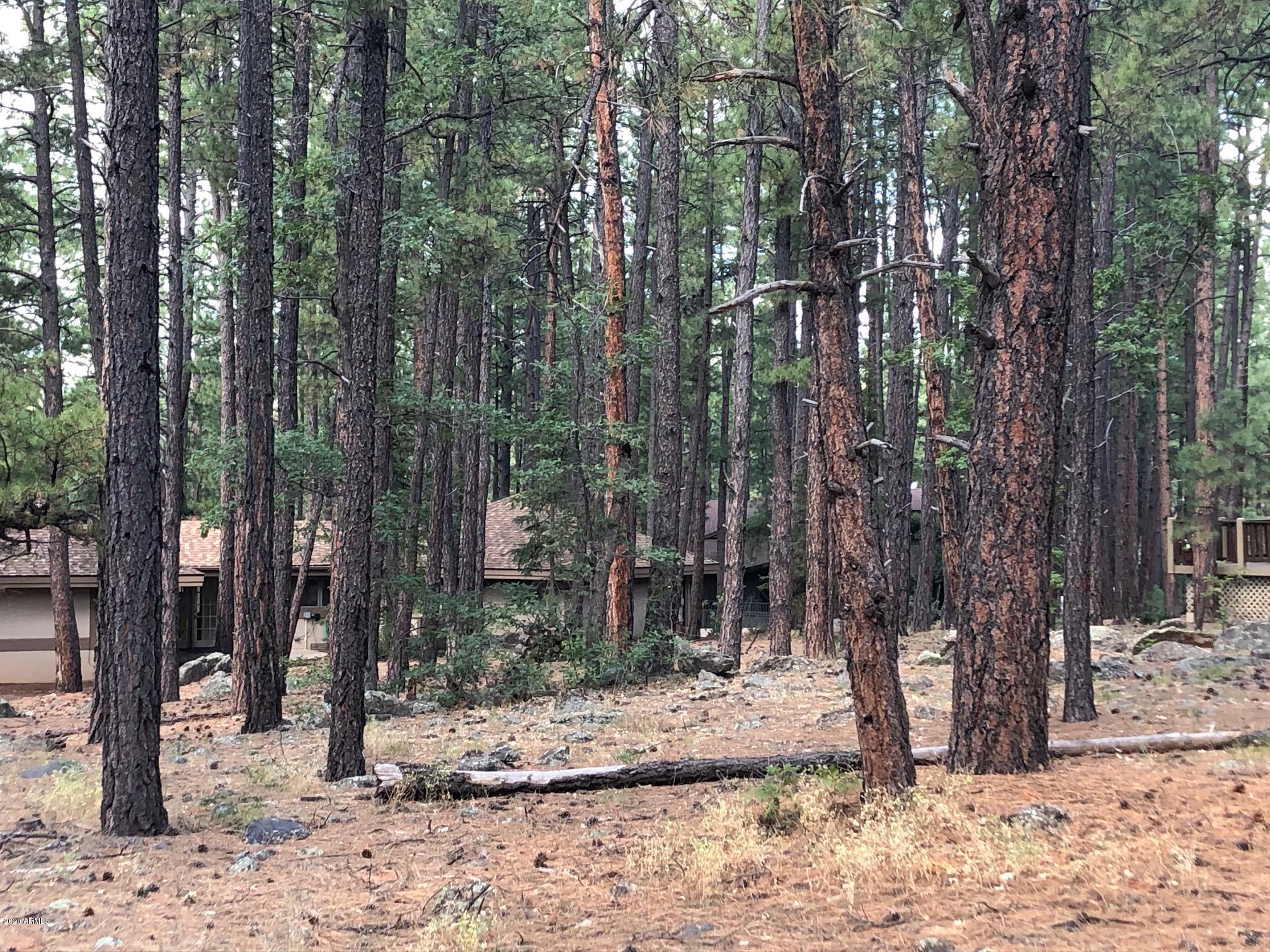 3977 Griffiths Spring, Unit 419 Flagstaff, AZ 86005 - Photo 3 of 3 419 2