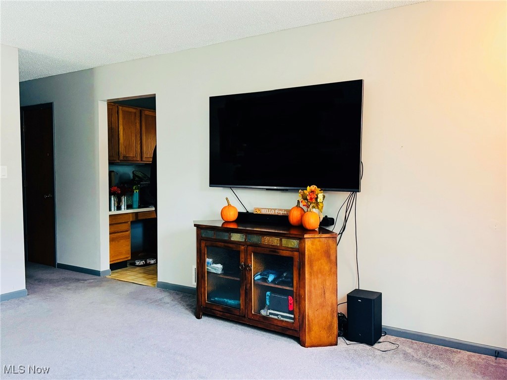 1522 Slusser Road Akron, OH 44305 - Photo 5 of 22 Gallery Image 5